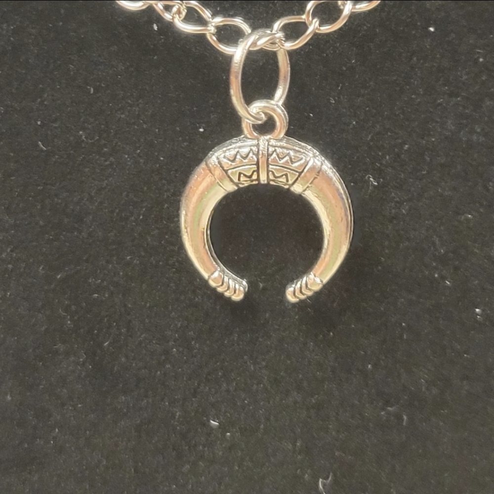 Silver Chain and Lucky Horseshoe Charm Necklace